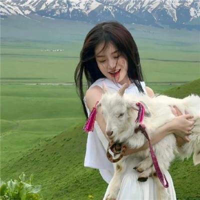 杨光的夏天